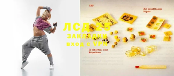 крисы Ростов