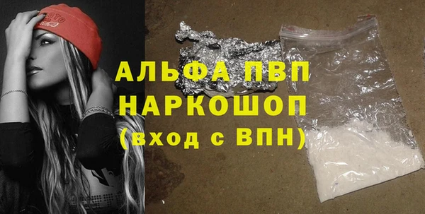 крисы Ростов