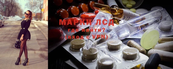 крисы Ростов