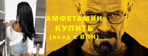 крисы Ростов