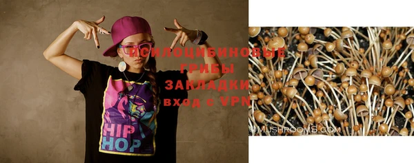 спайс Сатка