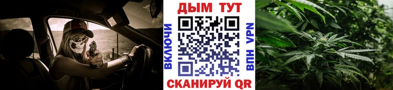 Купить  Щигры  Бошки Шишки план 